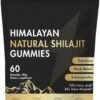 VivoNu Himalayan Shilajit Gummies | Mit Ashwagandha Gokshura & anderen Kräutern |  Ohne Zuckerzusatz | 60 Gummies